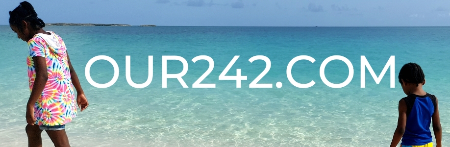 Rika242 Cover Image